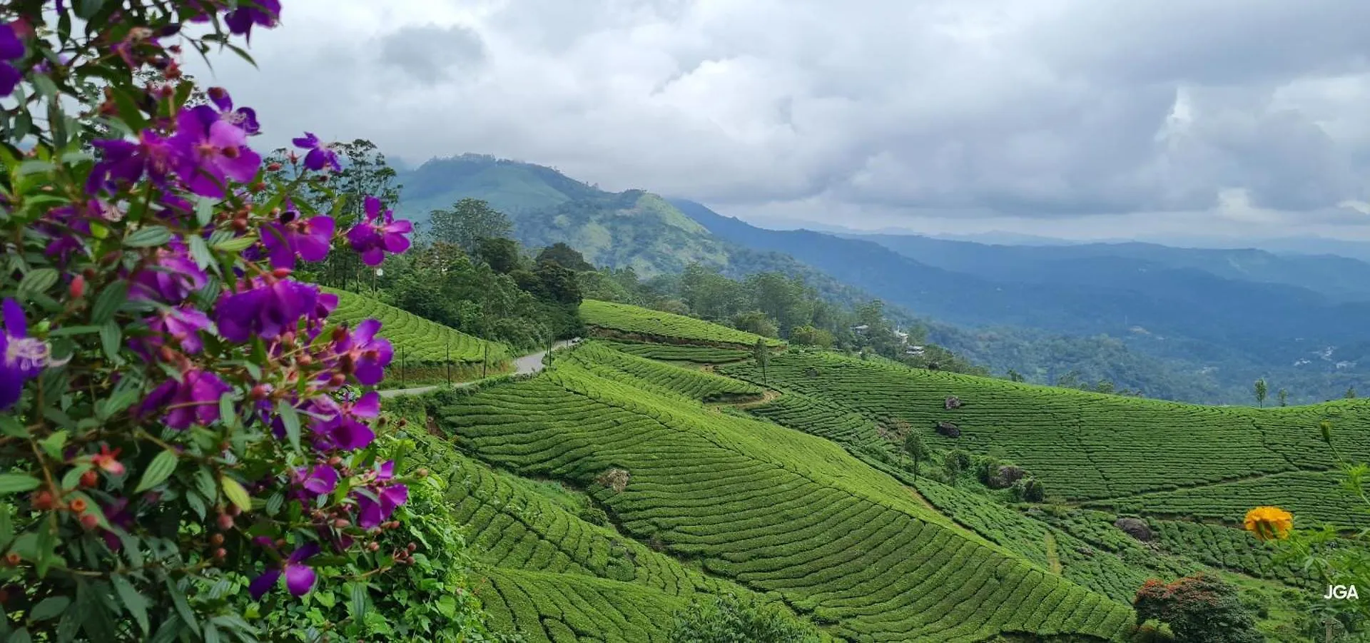 Bed & Breakfast Bed and Breakfast Wonderview Munnar
