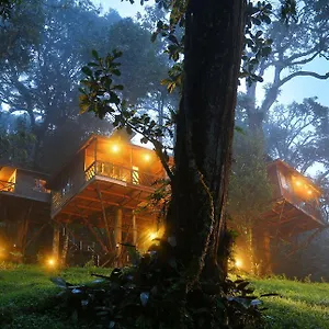 4* Resort Nature Zone Jungle