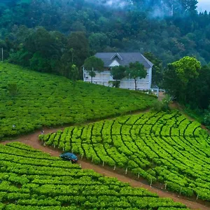 3* Отель Tea Harvester